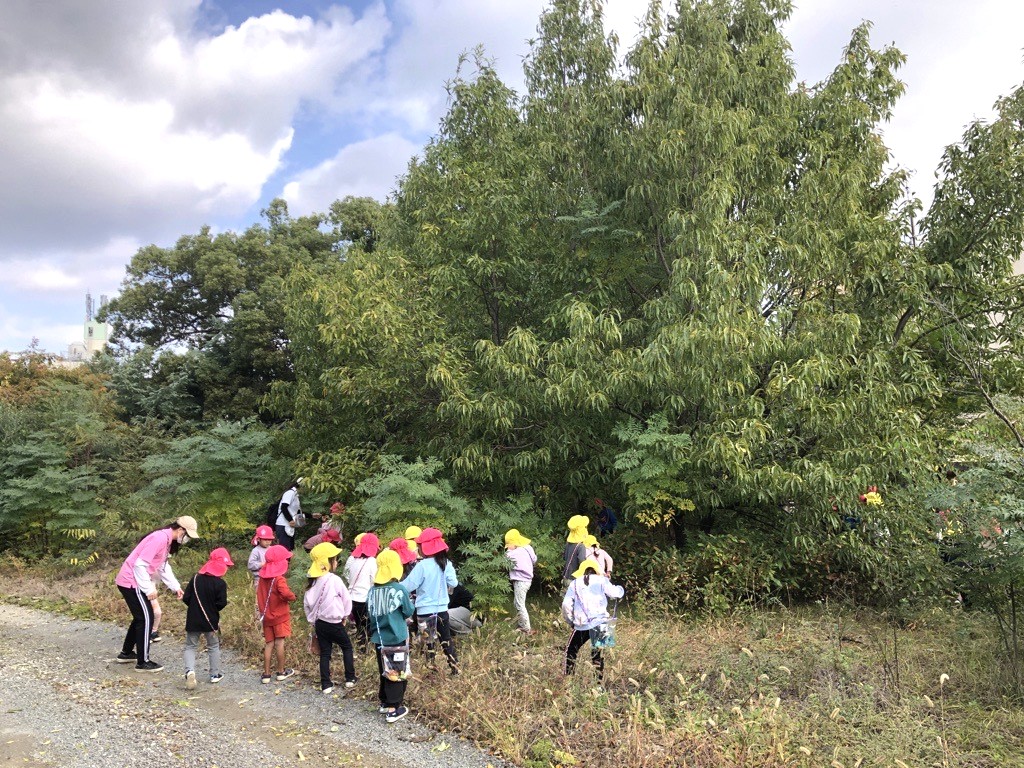 251110常盤会Image - 2025-11-10T104247.328