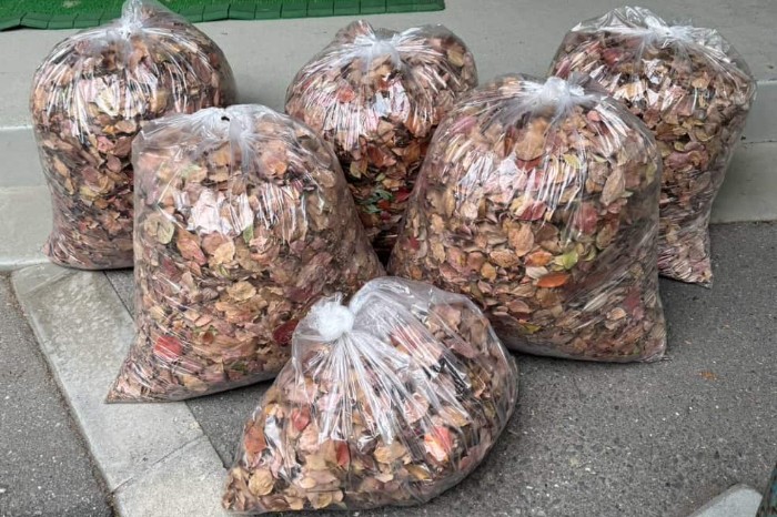 ea9e775e-58d9-46e7-af86-6de6b7ba812a