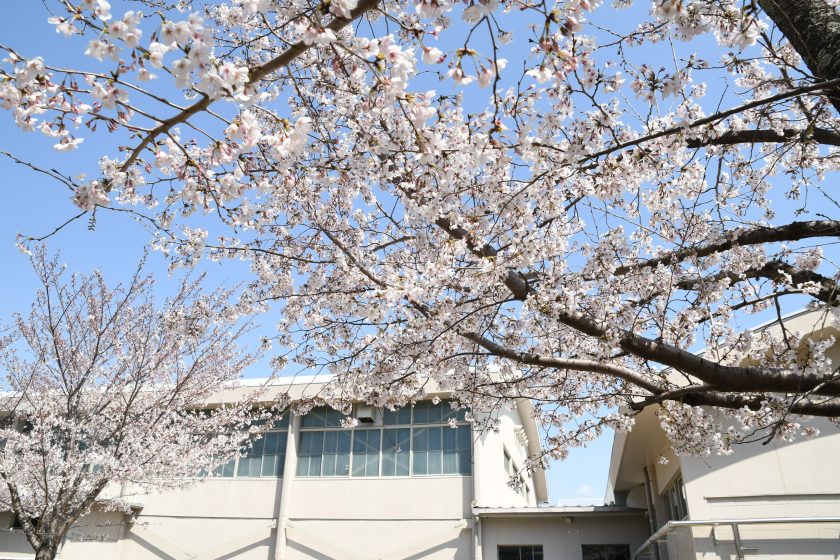 学校案内2026（学校パンフレット）